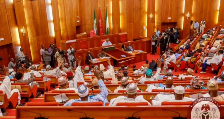 10th NASS: 24 Senators Have No Bill In One Year