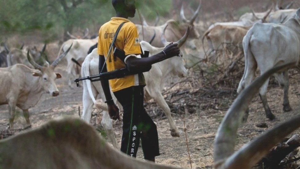 Herders Gangràpě 13-Year-Old Girl In Enugu, Kill Farmer For Trying To Rescue