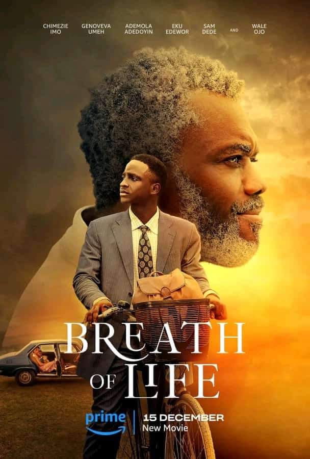 Breath Of Life: A Review Of AMVCA 2024 Best Overall Movie By Deji Yesufu