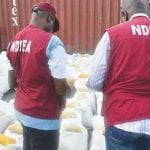 NDLEA Bursts Snake-Guarded Shrine Used For Storing Drugs In Edo