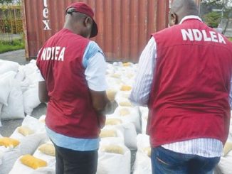 NDLEA Bursts Snake-Guarded Shrine Used For Storing Drugs In Edo