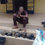 Ritualist Caught With 8 Human Skulls Priced At ₦30,000 Each In Ondo (Photos)