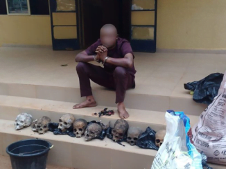 Ritualist Caught With 8 Human Skulls Priced At ₦30,000 Each In Ondo (Photos)