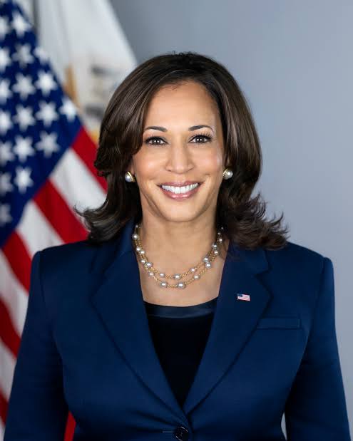 I Will Do Everything To Defeat Trump & His Extremist Agenda – VP Harris