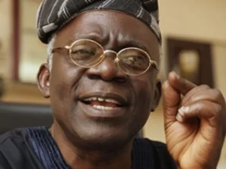 Anti-Government Protest: Threats Won’t Work – Femi Falana Tells FG