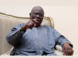 Ayo Adebanjo Claims LG Autonomy Judgment is a Threat to Democracy