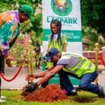 Climate Change: Lagos To Plant 20,000 Trees In One Year