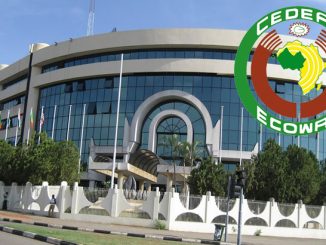 ECOWAS to Launch Single Currency, ECO