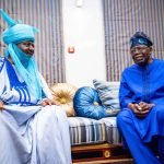 Embattled Bayero Enjoying Tinubu’s Support Because Of His Yoruba Blood — NNPP