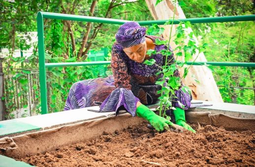 First Lady Unveils Vegetable Garden At State House (Picture)