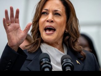 Kamala Harris' Campaign Raised $81M In 24 Hours After Biden Dropped Out (Video)