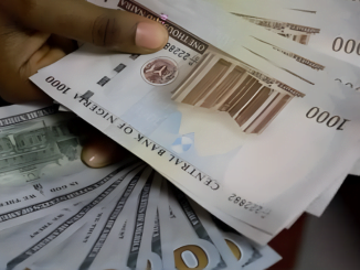 Naira Appreciates To ₦1,530/$ From ₦1,535 In Parallel Market