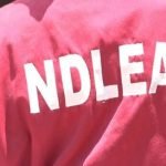 NDLEA Uncovers Illicit Drugs Hidden In Incense Candles, Ladies’ Wears