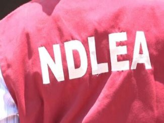 NDLEA Uncovers Illicit Drugs Hidden In Incense Candles, Ladies’ Wears