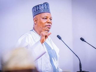 Protest: You Don’t Know Where This Will End - VP Shettima Tells Nigerians