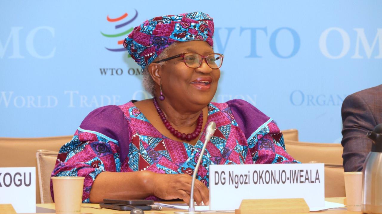 Nigeria’s GDP Growth Rate Has Remained Negative Since 2014 – Ngozi Okonjo-Iweala