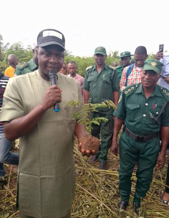 Ekiti Forestry Commission Donates Trees To Arboretum In Honor Of Prof Adeyoju