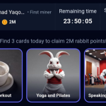 Rocky Rabbit Daily Combo 5 September 2024