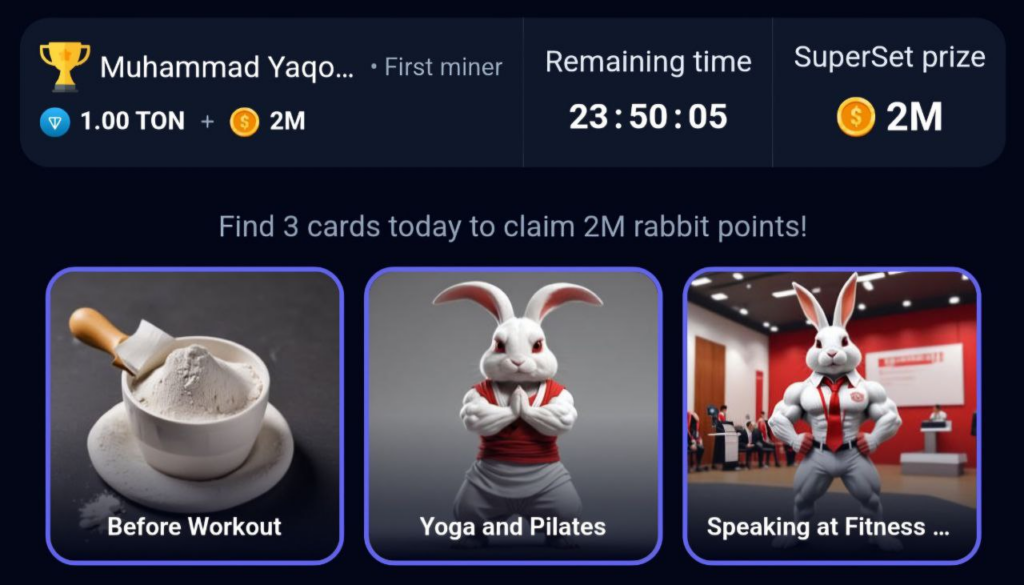 Rocky Rabbit Daily Combo 5 September 2024