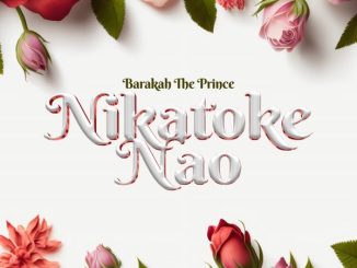 Barakah The Prince - Nikatoke Nao