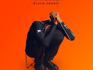 Black Sherif - Kwaku The Traveller