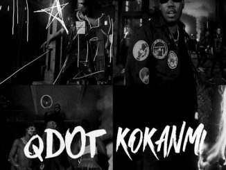 Qdot - Kokanmi