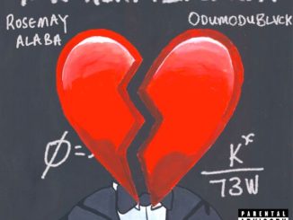 Rose May Alaba - Mr Heartbreaker Ft. Odumodublvck