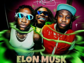 Shallipopi - Elon Musk (Remix) ft. Fireboy DML & Zlatan