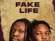 Umu Obiligbo - Fake Life